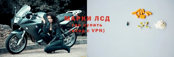 spice Богданович