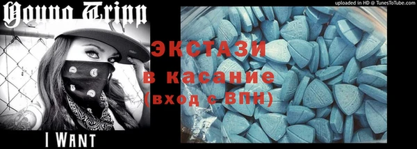 МДПВ Бородино