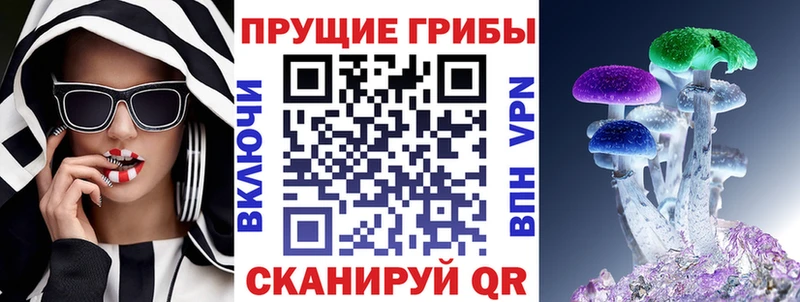 Псилоцибиновые грибы Psilocybine cubensis Городовиковск